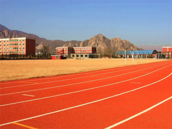 公司环境